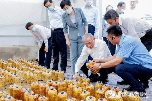 loading... loading...